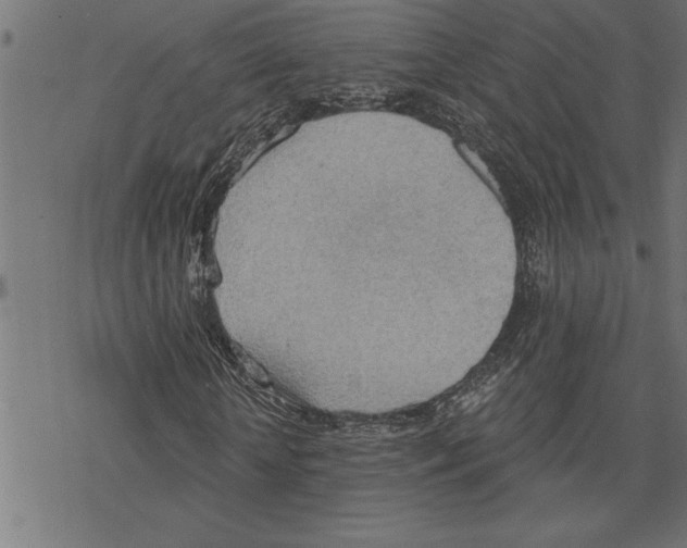 X0000078230818200612011537