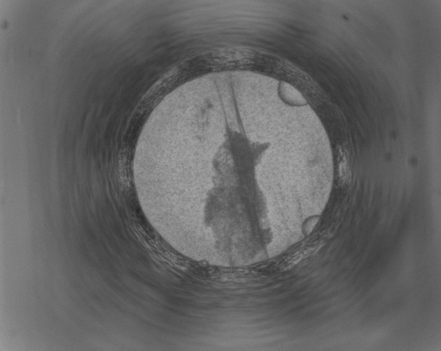 X0000078230819200612011537