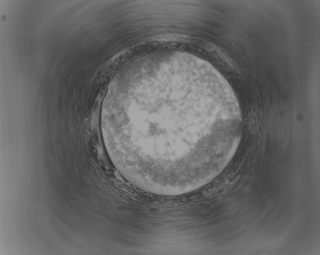 X0000078230821200612011537