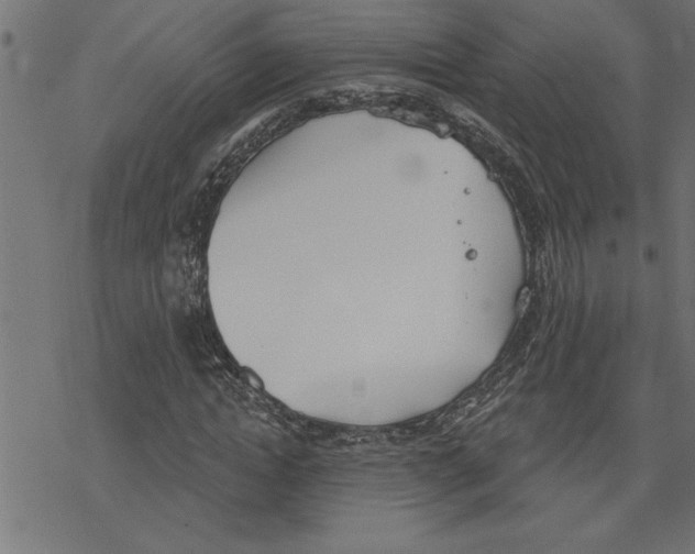 X0000078230822200612011537