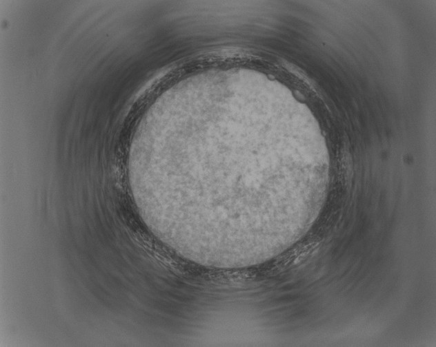 X0000078230823200612011537