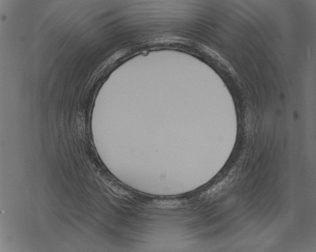 X0000078230825200612011537