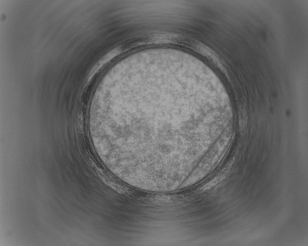 X0000078230827200612011537