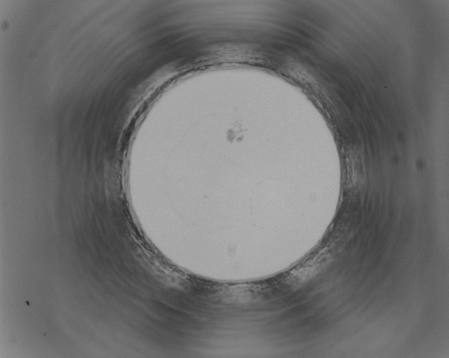 X0000078230828200612011537