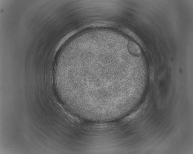 X0000078230829200612011537