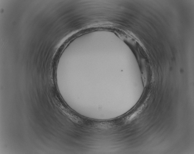 X0000078230830200612011537