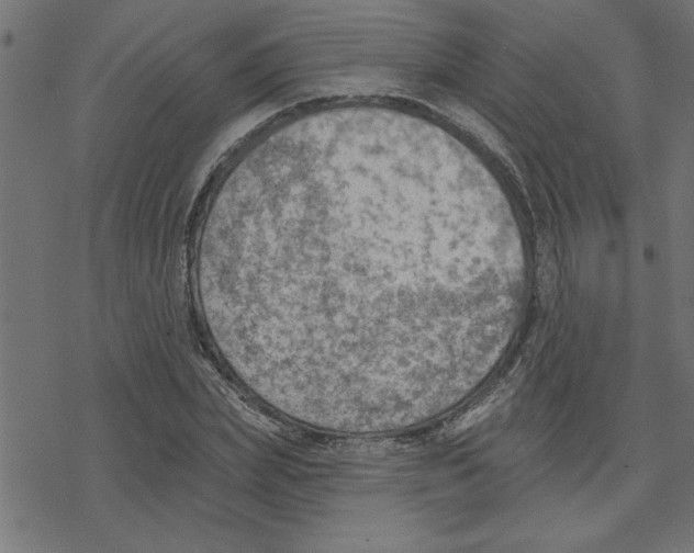 X0000078230831200612011537