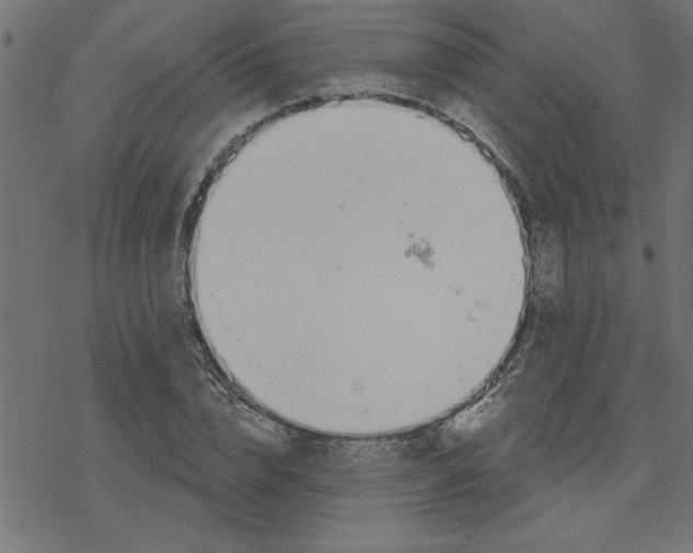 X0000078230832200612011537