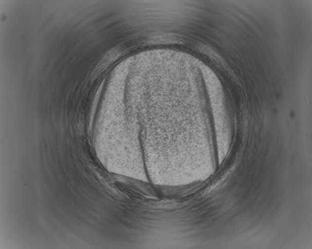 X0000078230833200612011538