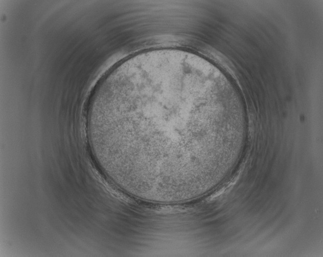 X0000078230835200612011538