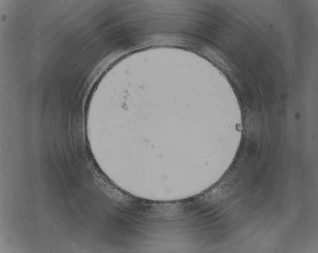 X0000078230836200612011538