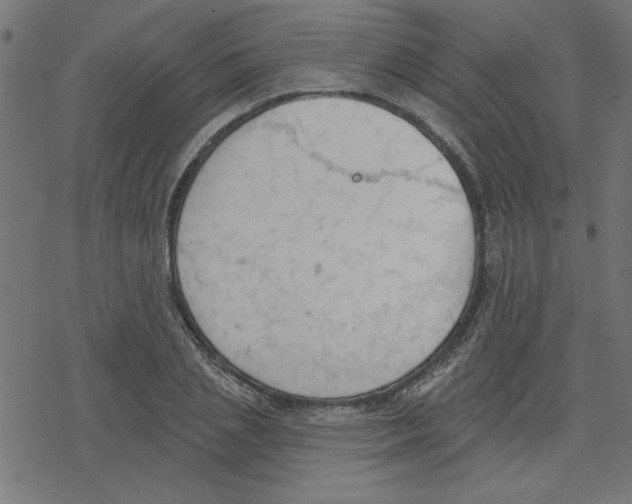 X0000078230837200612011538