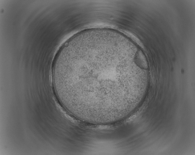 X0000078230839200612011538