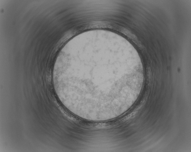 X0000078230841200612011538