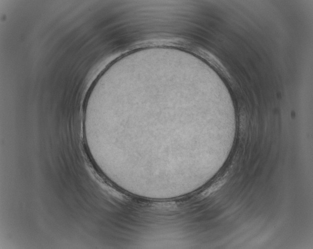 X0000078230844200612011538