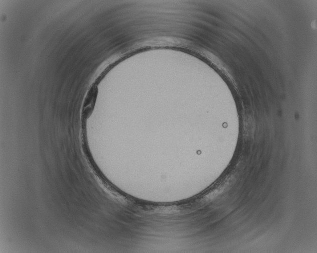 X0000078230845200612011538