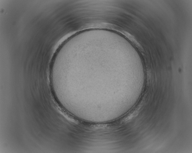 X0000078230846200612011538