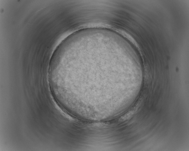 X0000078230847200612011538