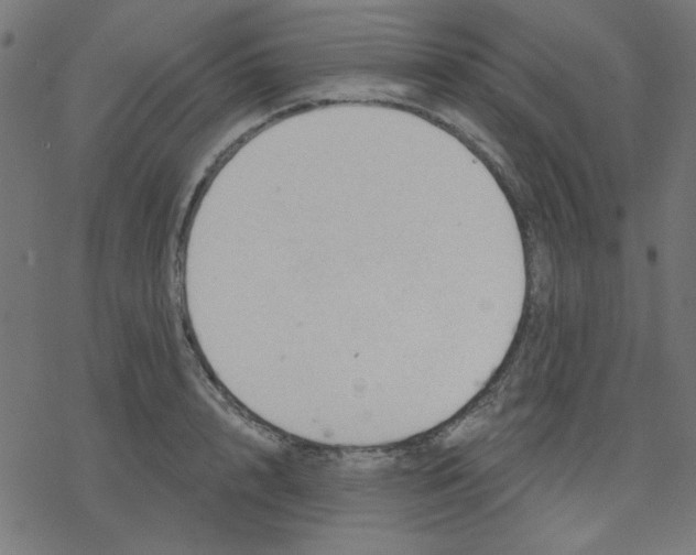 X0000078230848200612011538