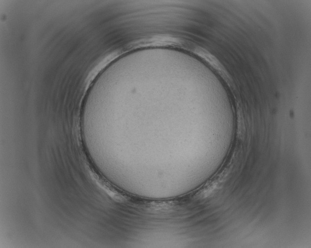 X0000078230850200612011538