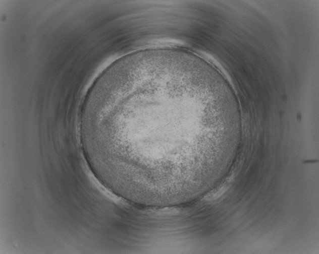 X0000078230851200612011538