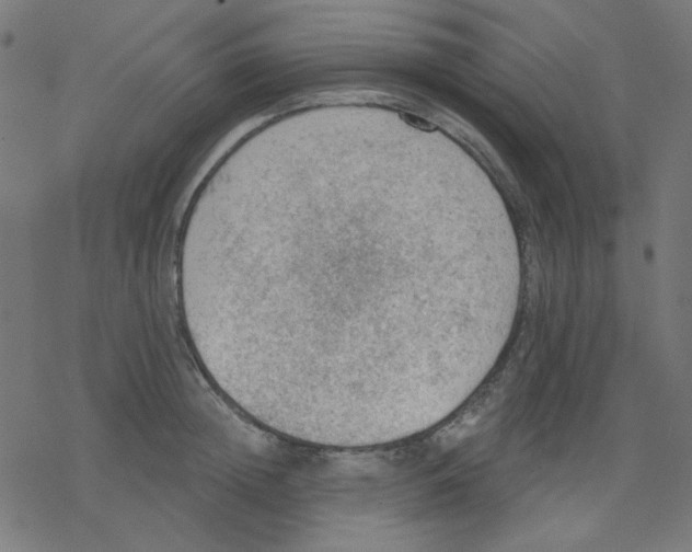 X0000078230852200612011538