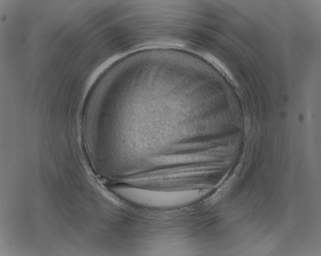 X0000078230854200612011538