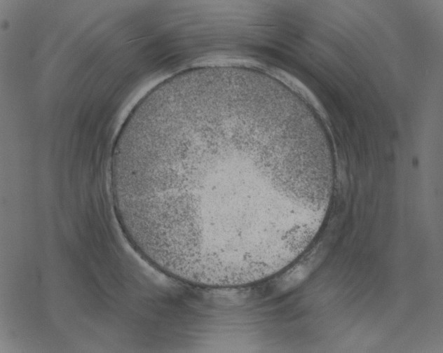 X0000078230855200612011538