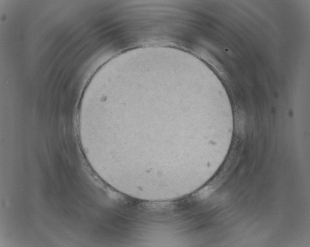 X0000078230856200612011538