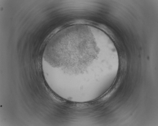 X0000078230857200612011538