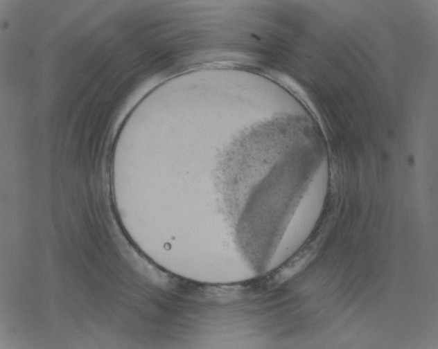 X0000078230859200612011538