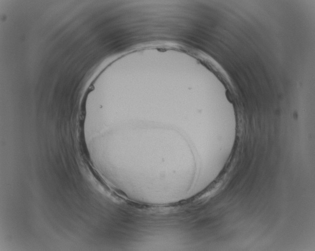 X0000078230860200612011538