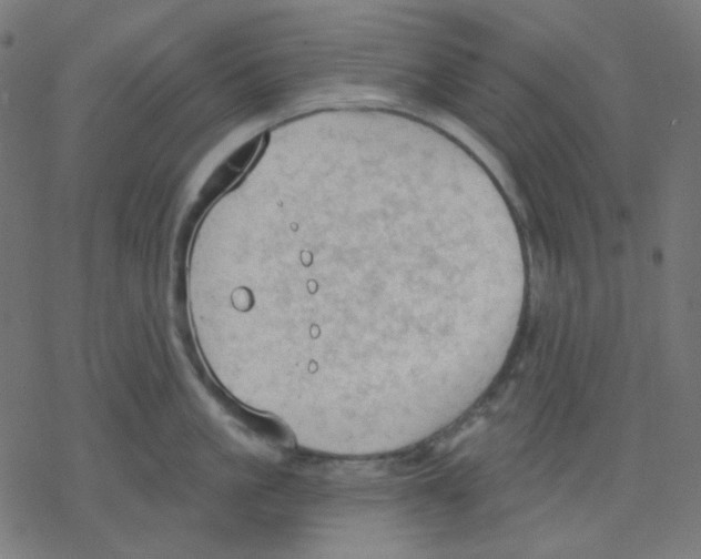 X0000078230861200612011538