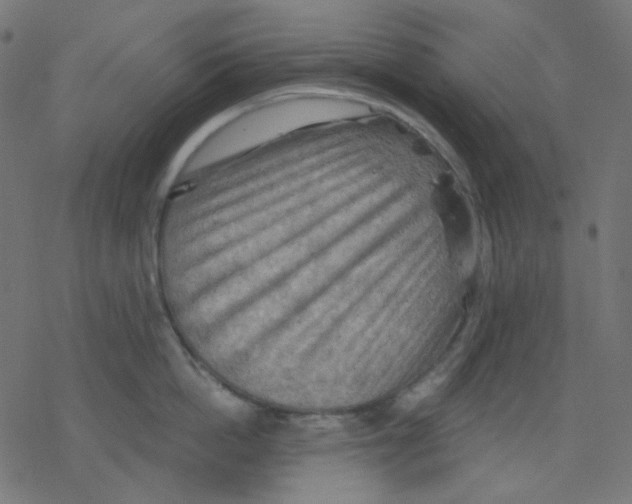 X0000078230862200612011538