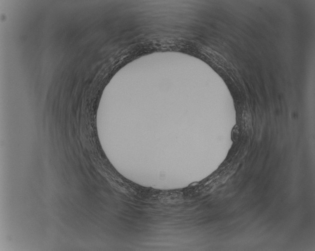 X0000078230865200612011537