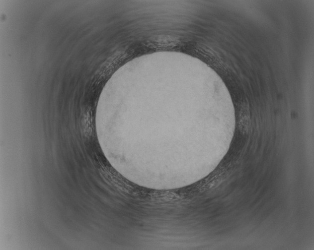 X0000078230866200612011537