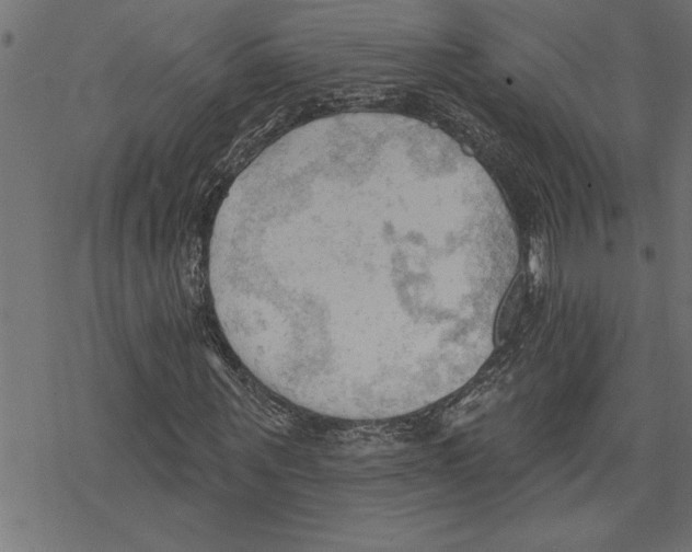 X0000078230867200612011537