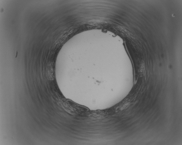 X0000078230868200612011537