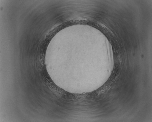 X0000078230870200612011537