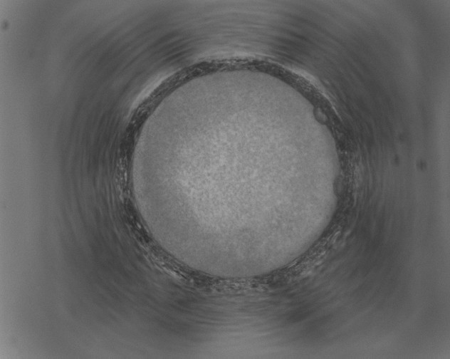 X0000078230871200612011537