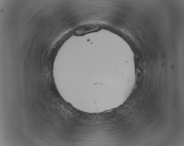 X0000078230872200612011537