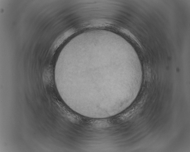 X0000078230874200612011537