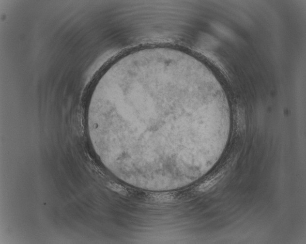 X0000078230878200612011537