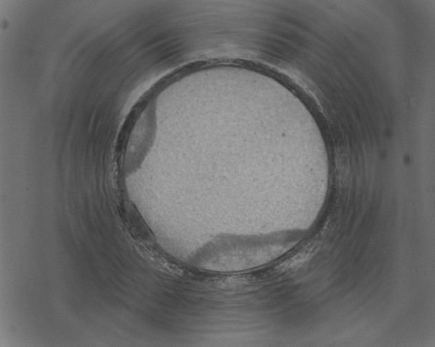 X0000078230879200612011537