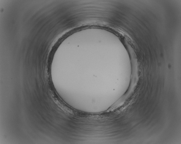 X0000078230880200612011537