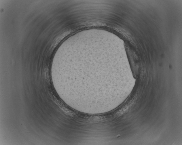 X0000078230881200612011537