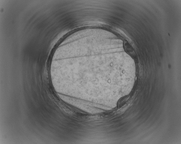 X0000078230883200612011537