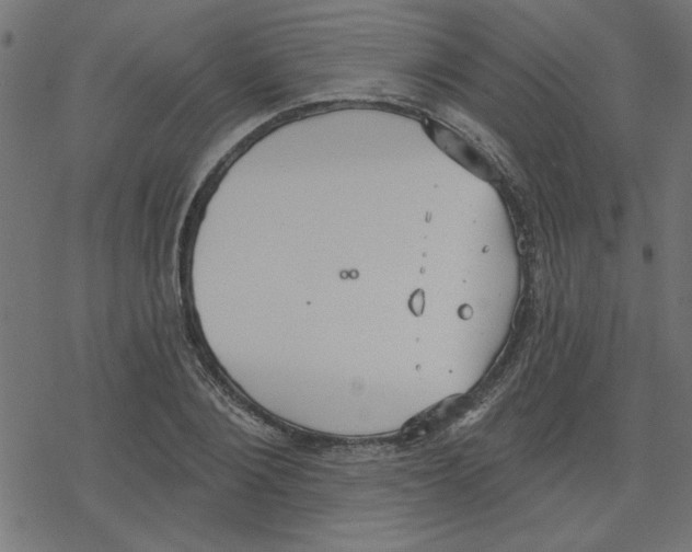 X0000078230884200612011537