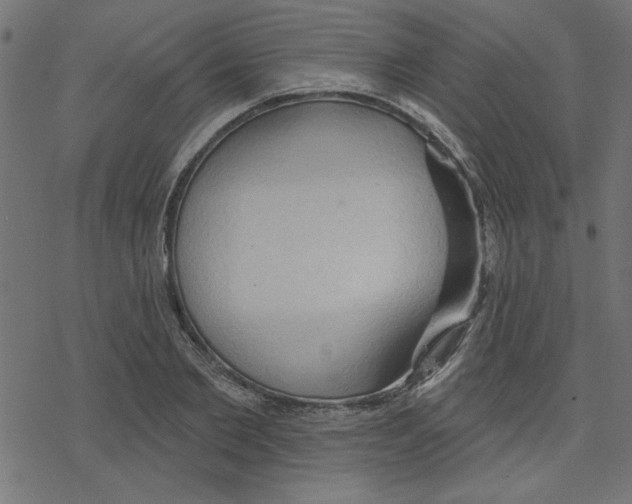 X0000078230885200612011537