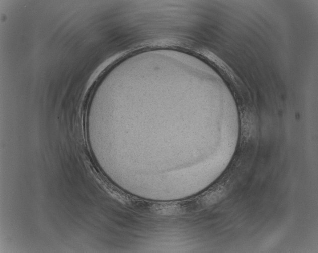 X0000078230886200612011537